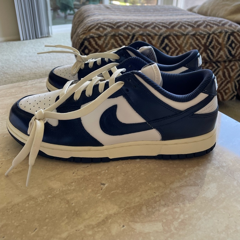 NEW Nike Dunk Low women’s sneaker